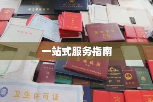 喀什一站式服务指南