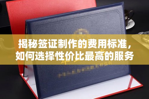 喀什揭秘签证制作的费用标准，如何选择性价比最高的服务？