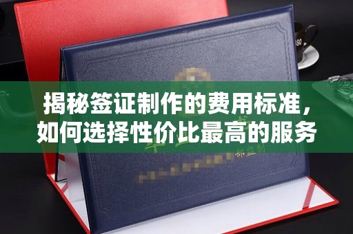 喀什揭秘签证制作的费用标准，如何选择性价比最高的服务？