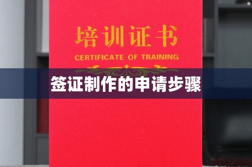 喀什签证制作的申请步骤