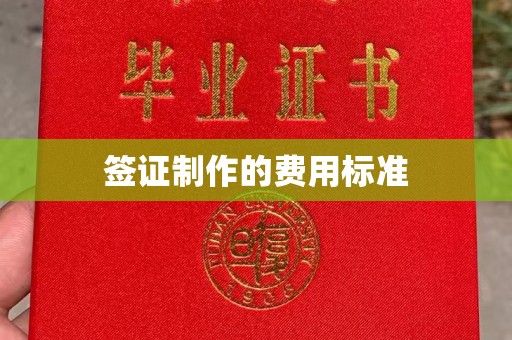 喀什签证制作的费用标准