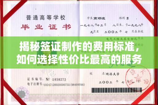 喀什揭秘签证制作的费用标准，如何选择性价比最高的服务？