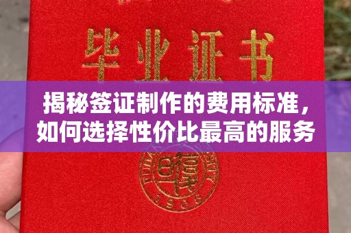 喀什揭秘签证制作的费用标准，如何选择性价比最高的服务？